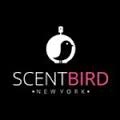 Scent bird logo