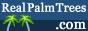 real palm Trees logo