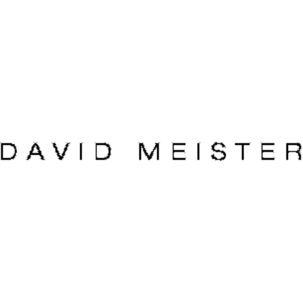 David Meister logo