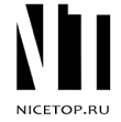 nicetop logo